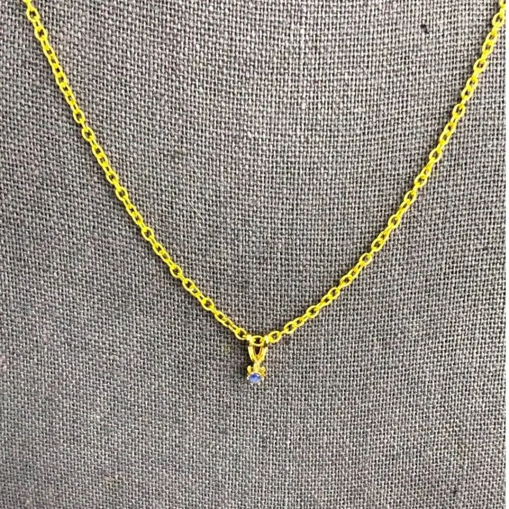 Delicate Gold Tone Blue Stone Charm Necklace